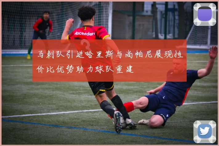 马刺队引进哈里斯与尚帕尼展现性价比优势助力球队重建